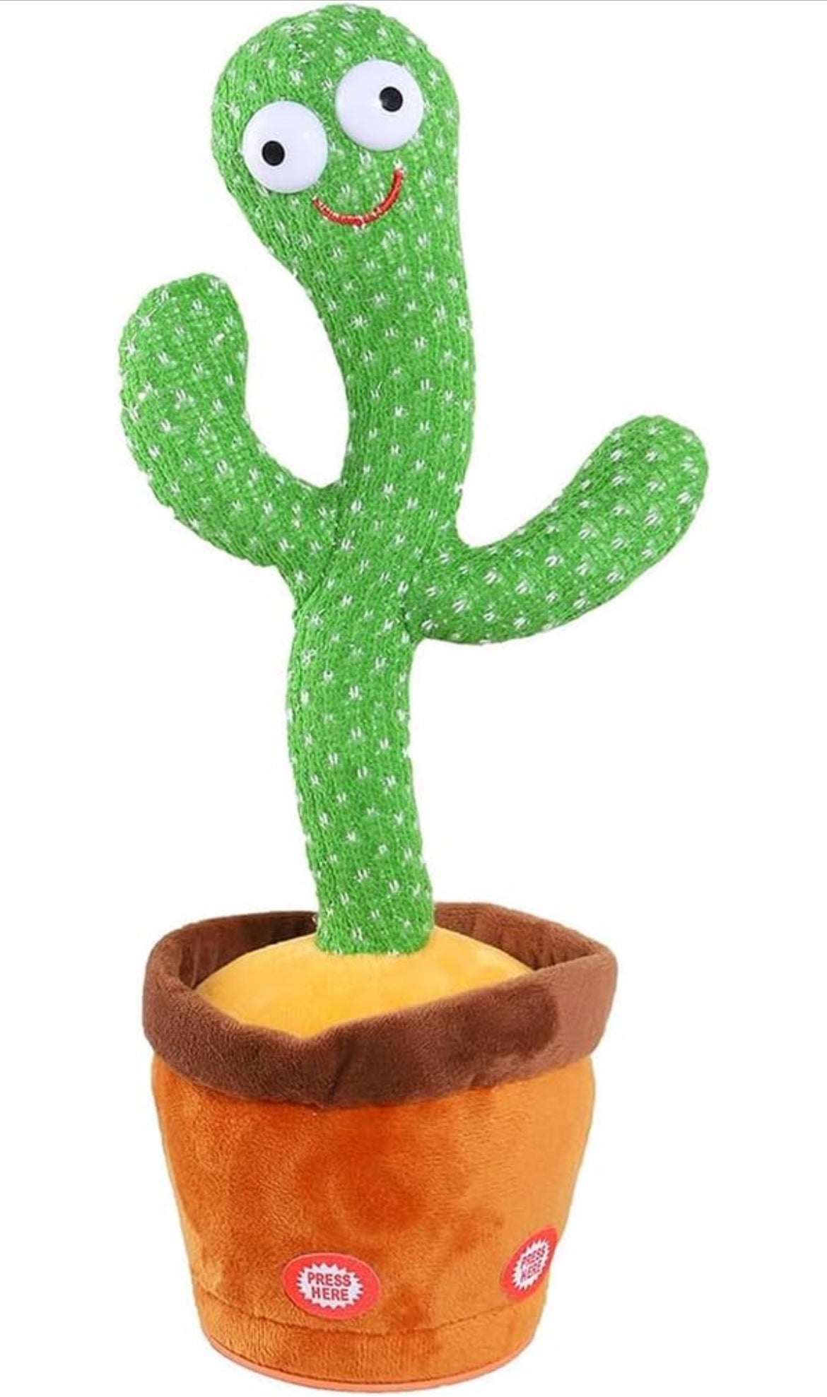 Talking & Voice Repeating Cactus (HEAVY QUALITY)