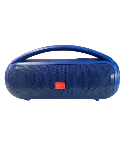 Portable WIRELESS SPEAKER with RGB LIGHTS