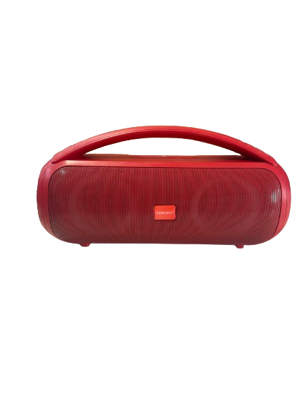 Portable WIRELESS SPEAKER with RGB LIGHTS