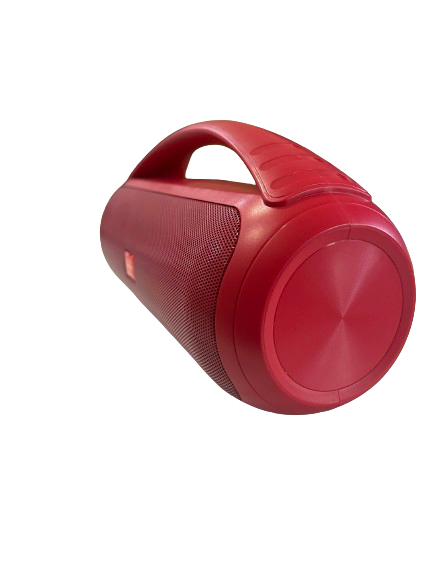 Portable WIRELESS SPEAKER with RGB LIGHTS